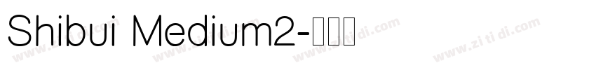 Shibui Medium2字体转换